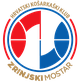 兹林斯基女篮  logo