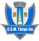 CSM特尔古捷乌B队 logo